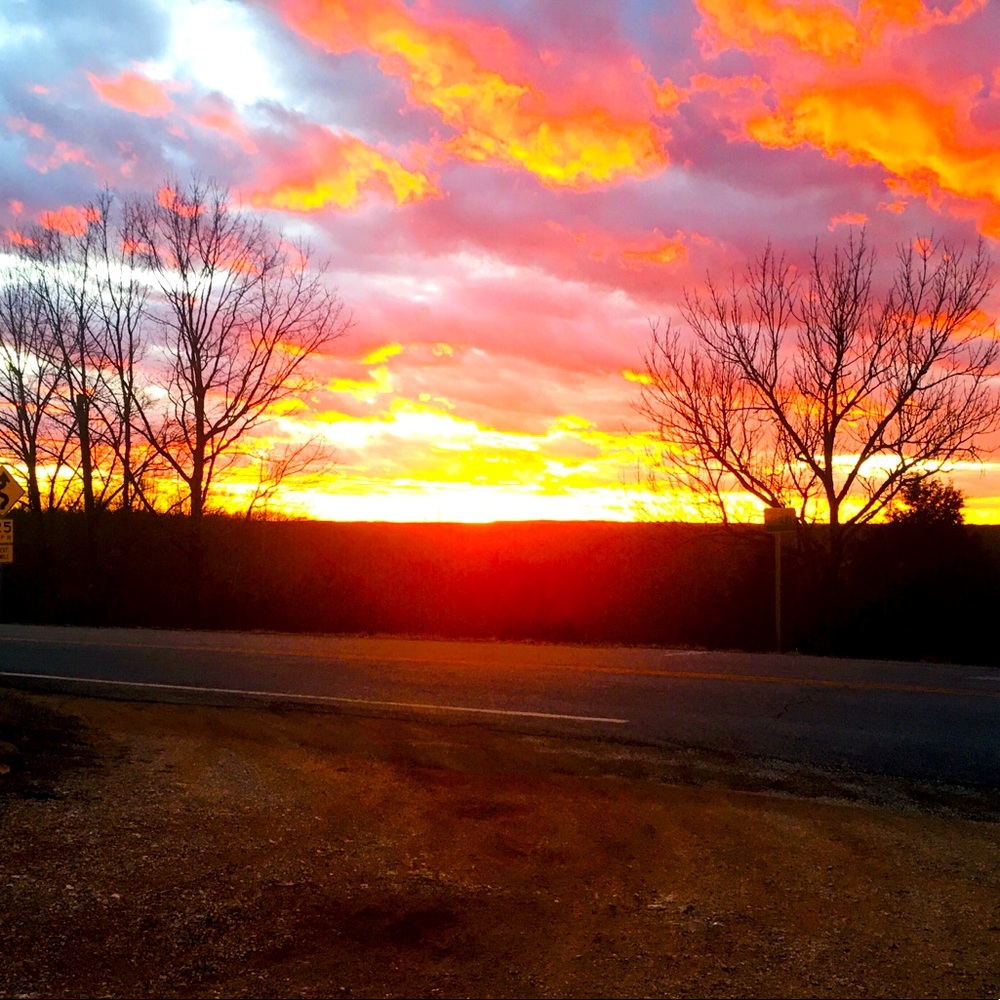 Meet your Posher, Whitney - Picture 10 of 13